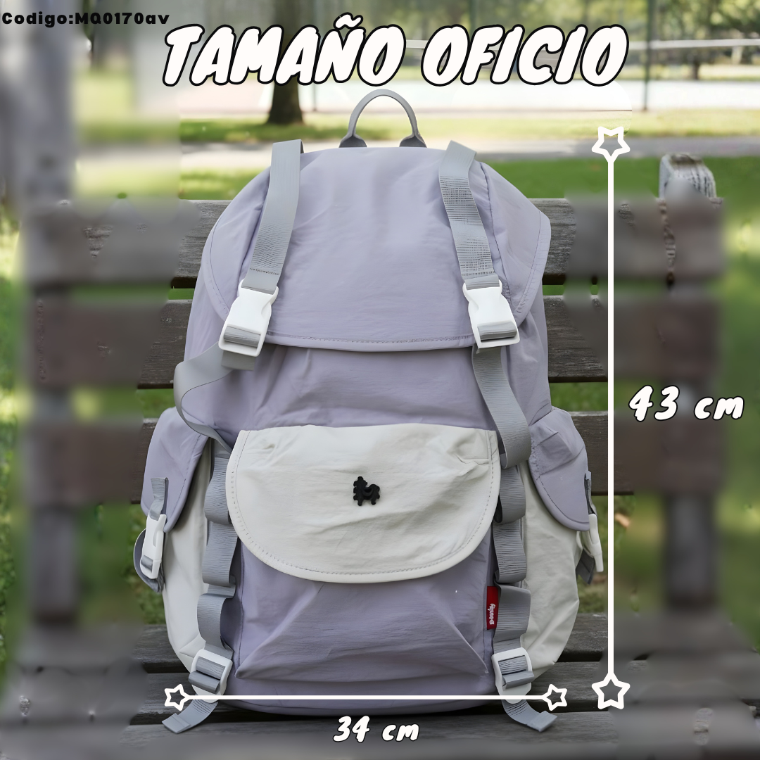 Mochila Tamaño Oficio 43×34 cm con Tapa | Variantes Casual, Divertido y Clásico